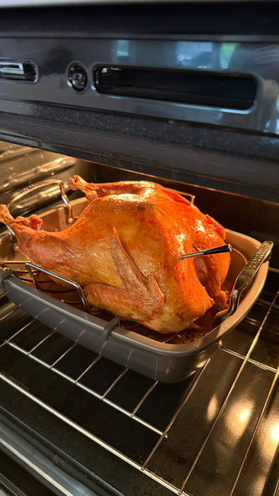 Wireless Digital Food Thermometer - (TMP45)