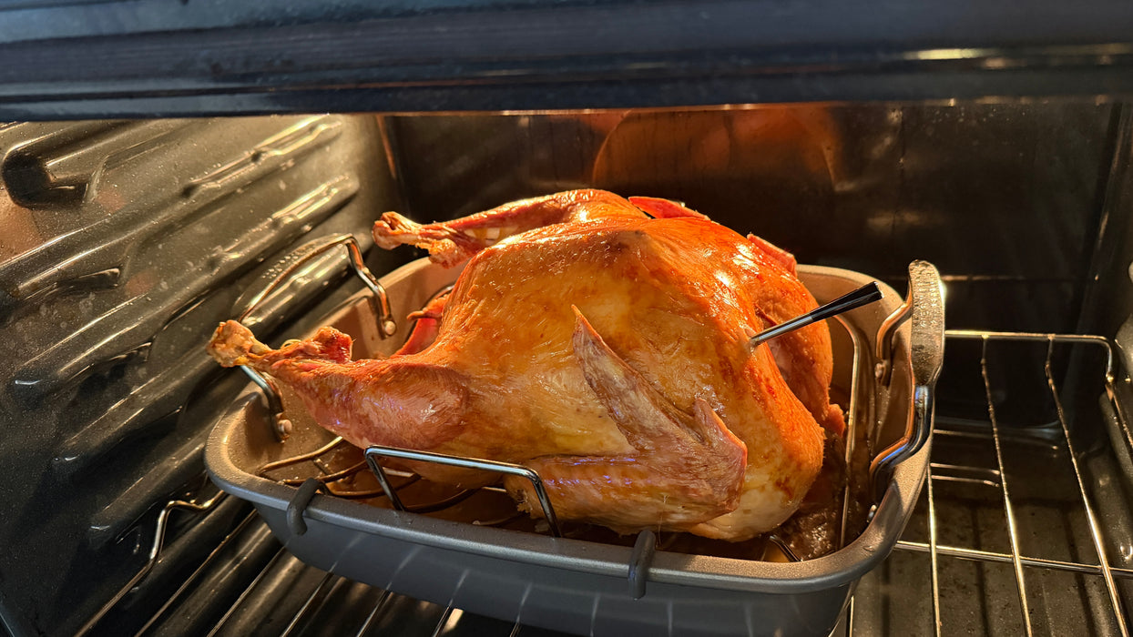 Wireless Digital Food Thermometer - (TMP45)